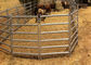 6 Bar Oval Livestock Equipment Portable Cattle Yard Panels Heavy Duty By 1820X2100mm