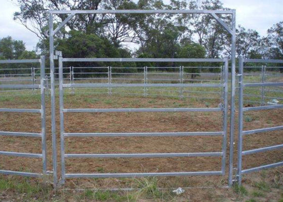 O gado de aço do trilho do padrão 6 de Austrália cerca os painéis ovais da cerca dos rebanhos animais do metal do trilho 40x80